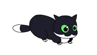 Maxwell cat