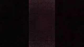 Anyanyanyanyanyan #shorts #FunnySounds #CAWFSounds