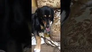Ну это надо смотреть