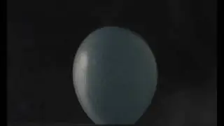 Globo | English
