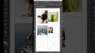 How to Create Grids with Images in Adobe InDesign in 60 Seconds! #adobeindesign #freetutorial #adobe