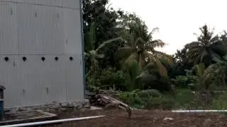 Gedung Burung walet