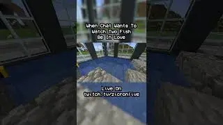 Chat Loves The Fish #shorts #minecraft #pride #fish
