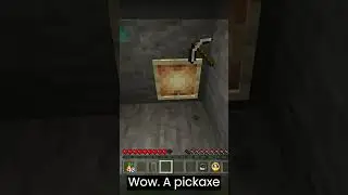 1000 IQ Minecraft Player