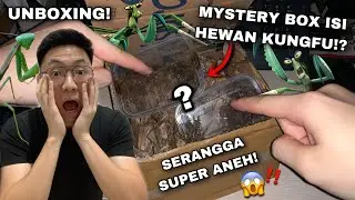 UNBOXING PAKET ISI SERANGGA PREDATOR JAGO KUNGFU!? MYSTERY BOX MANTIS!