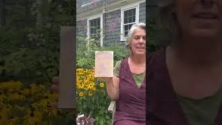 Amy Nolan shares her #anthotype for World Anthotype Day. Links in comment. #alternativephotography