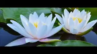 О КАК БЛАЖЕН,КАК СЧАСТЛИВ Я