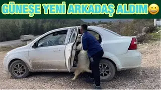I COULDN'T RESIST IT, I WENT TO THE OTHER GOAT AND TOOK A FRIEND😀😀Princess