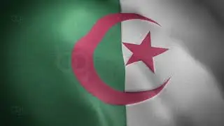 Algeria Flag - Realistic - Waving Flag - Full HD - 1080 - Seamless Loop