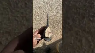 Томагавк
