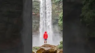 PHEA PHEA Fall