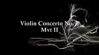 Violin Concerto No. 2 in G minor (Mvt II) - Steven Chen