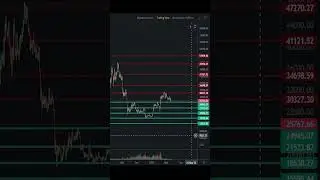 VIDEOBLOG CRYPTODEVIL - VIEW THE YOUTUBE CHANNEL
