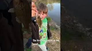 bobby garland jig for the win! #fishing #outdoors #warmouth #pondlife #fishinglife