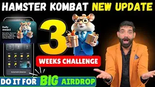 HAMSTER KOMBAT 3 Weeks Challenge | Hamster Kombat Task, Daily Reward Update | Hamster Latest News