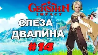 Genshin Impact / #14 СЛЕЗА ДВАЛИНА