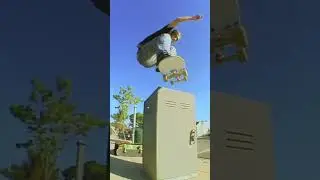 Donovon, John, Joseph, Tee, Koston, Guy, Lance, and Leo in Pawnshop Skate Co.'s 