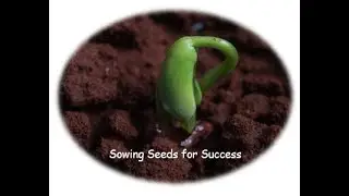 Sowing Seeds for Success