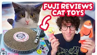 My Cat Reviews The BEST Cat Toys