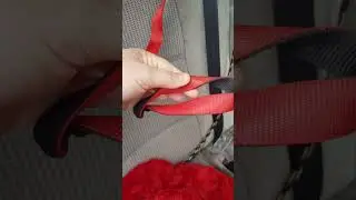 How to easily secure your dog in the car