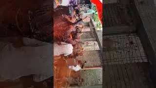 Laybhari Mitr Mandal Bori, Pusad 2k23🚩🔥  लयभारी मित्र मंडळ बोरी, पुसद 2k23 ❤️ 🔥गोपाल बँड अकोला 🔥