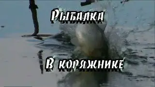 Рыбалка на карасика в коряжнике на поплавок.