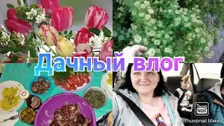 Похолодало / Дожди / Погода не дает работать / Пострадали саженцы / Пробурили скважину /Дачный влог