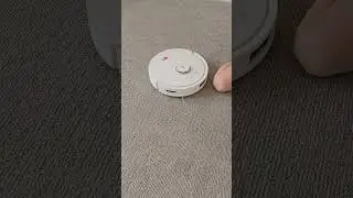 Robots help me get the Saturday cleaning done!