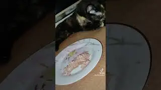 ЛАДУШКА ❤️