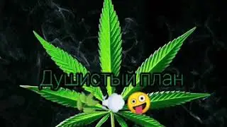Душистый план (РЕМИКС) // Fragrant plan (REMIX) // Курильщикам трудно без плана