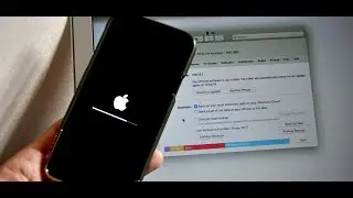 iPhone 11 Died That Doesn’t Respond With Black Screen in 2020
