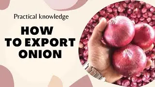 How To Export Onion | How To Export Onion India To Dubai | Red Onion | Onion Export Profit
