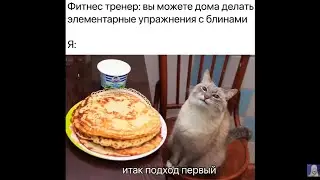 Лютые жизненные мемы
