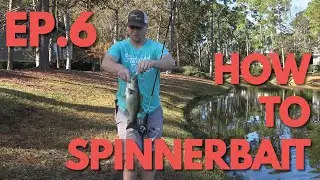 How to Fish Spinnerbaits - How to Bass Fish Ep. 6