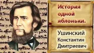 История одной яблоньки.