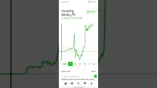 Robinhood Portfolio  Update 10k to 100k challenge 2021