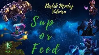 Support Montage #1