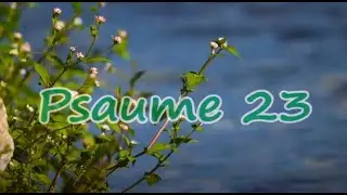Psaume 23