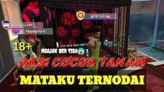 APARTEMEN JUJUM TERFAVORIT KE DUA VERSI WARGA AVAKINLIFE