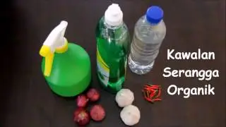 Kawalan Serangga Organik