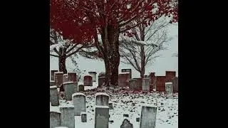 [free] old xxxtentacion + gin$eng type beat [virus]