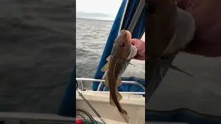 Рыбалка на Балтийском море с Ночевкой.