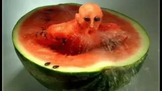 Crazy Food Art