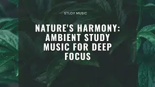 Nature's Harmony: Ambient Study Music for Deep Focus