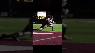 goal line stop