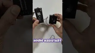 LOCAL Voice Assistant With Homeassistant & Wake Word 