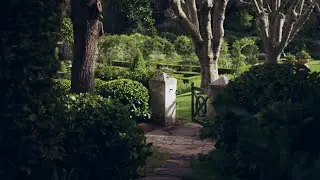 What is Beyond the Walled Garden?