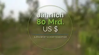 Plantations International Unternehmens Video Deutsch