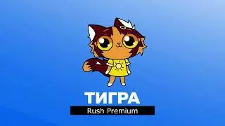 Открытия Нового Телеканала Тигра Раш Премиум (09.02.2024) (Раш Премиум ТВ) Версия Без Цензуры