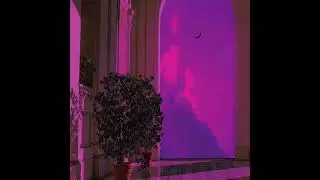 FREE MELODY LOOP KIT sanguine  - Playboi Carti x Drake x Pierre Bourne inspired loops w stems